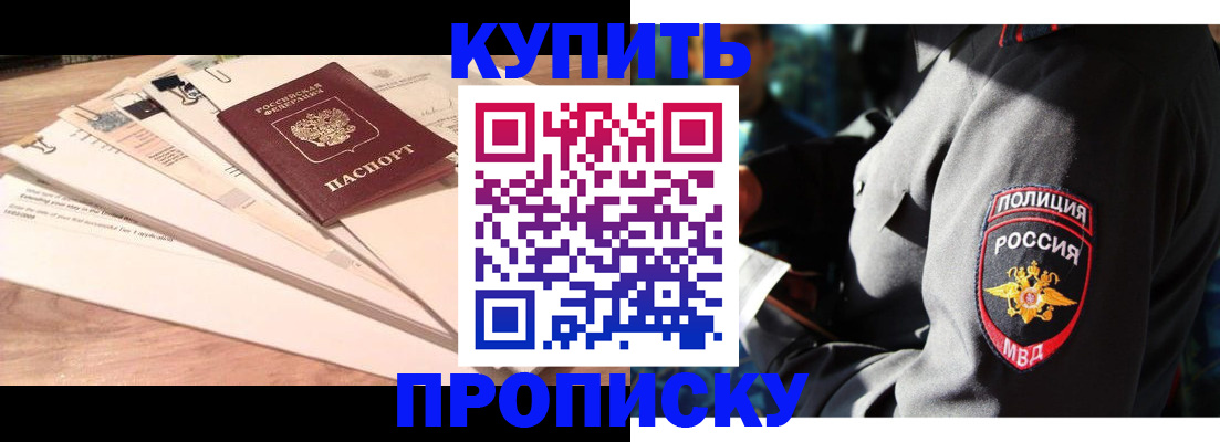 прописка поиск в Черняховске